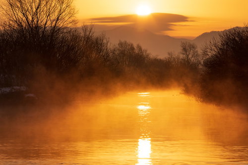 渓流の上流で立ち上がる蒸気霧と朝日の風景