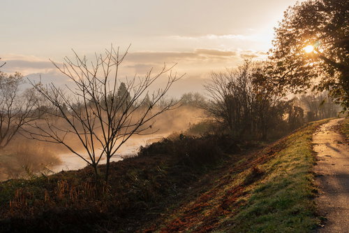 朝焼けに染まる川から立ち上る川霧（蒸気霧）