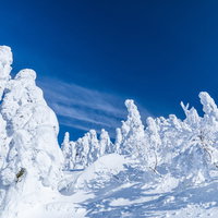 樹氷に囲まれる森吉山の冬景色 青空と銀世界の写真