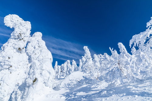 樹氷に囲まれる森吉山の冬景色 青空と銀世界