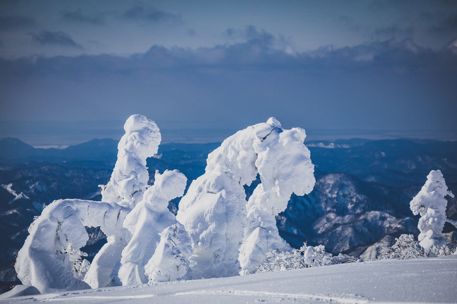 秋田県森吉山の樹氷で形成されたスノーモンスターが雪景色の中に立ち並ぶ