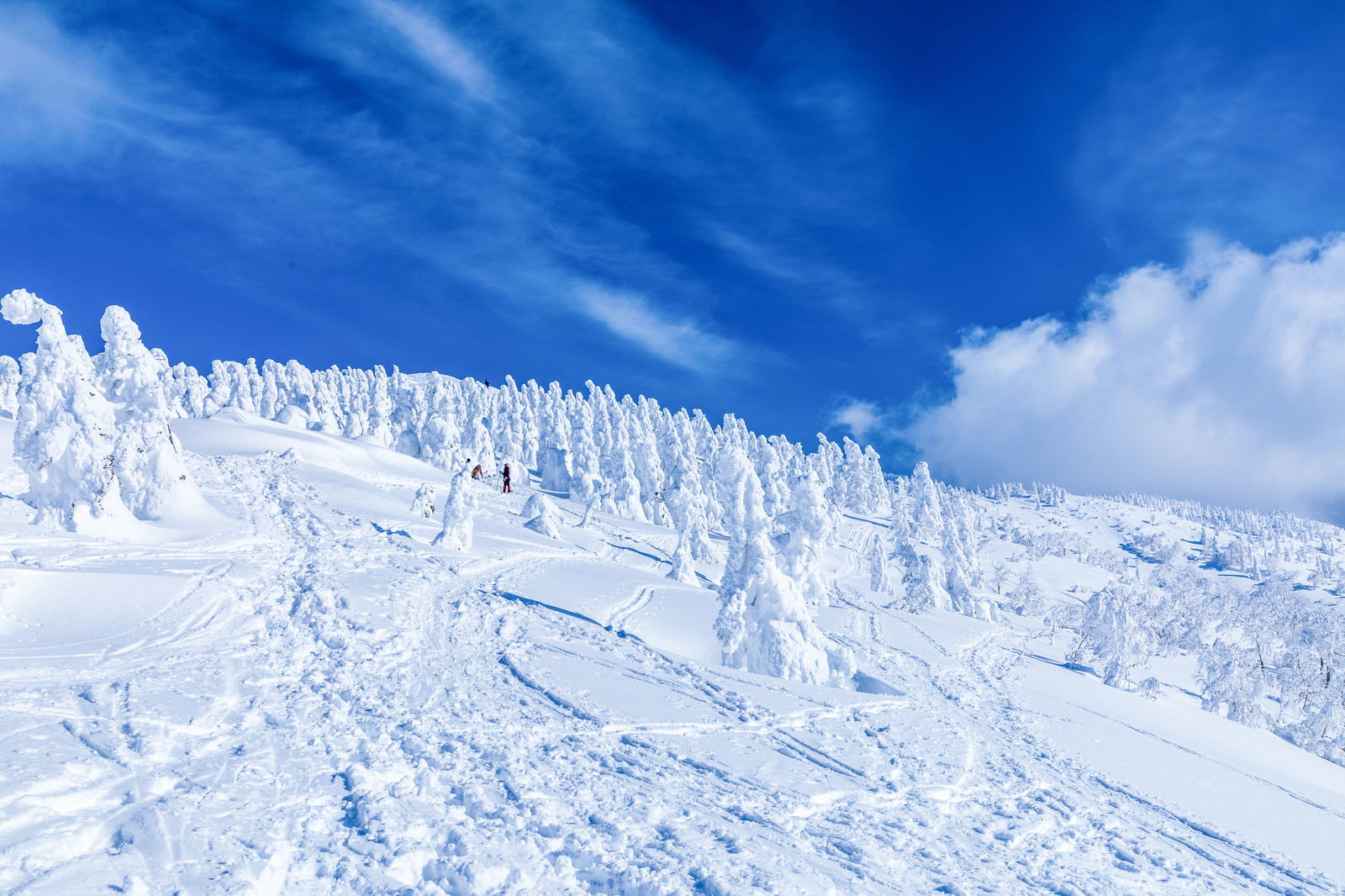 雪山の斜面に続く足跡と白い樹氷に覆われた木々