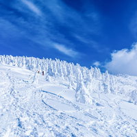 秋田県・森吉山の樹氷へ続く足跡の写真