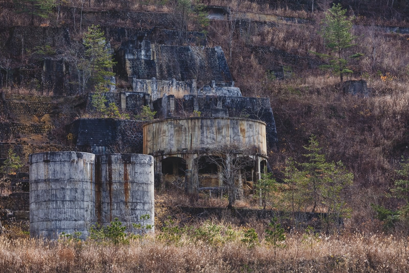 山奥に放置された土畑鉱山跡の廃止施設。錆びたコンクリートタンクと石造りの朽ちた建物が立ち並ぶ