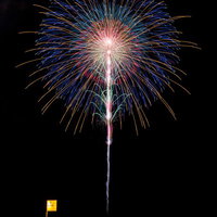 職人技な花火が夜空に放射状に広がる花火大会の風景の写真