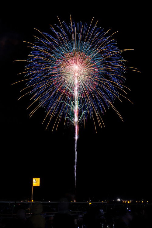 職人技な花火が夜空に放射状に広がる花火大会の風景