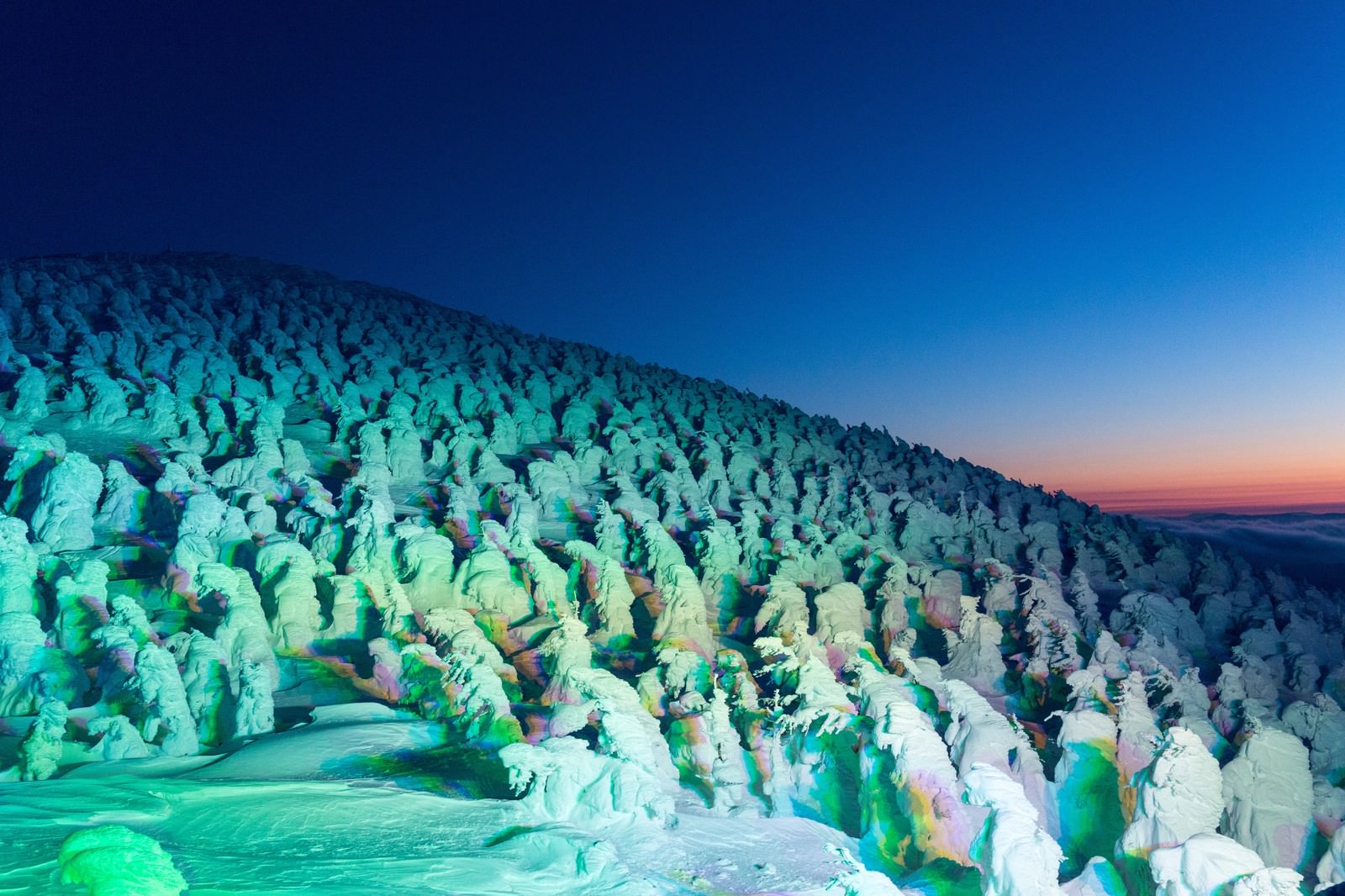 蔵王の樹氷がライトアップされ、背景に夜明けの朝焼けが広がる山岳風景