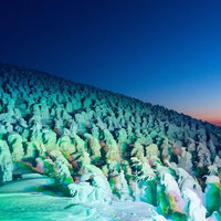 蔵王の樹氷がライトアップされた夜明けの山岳風景の写真