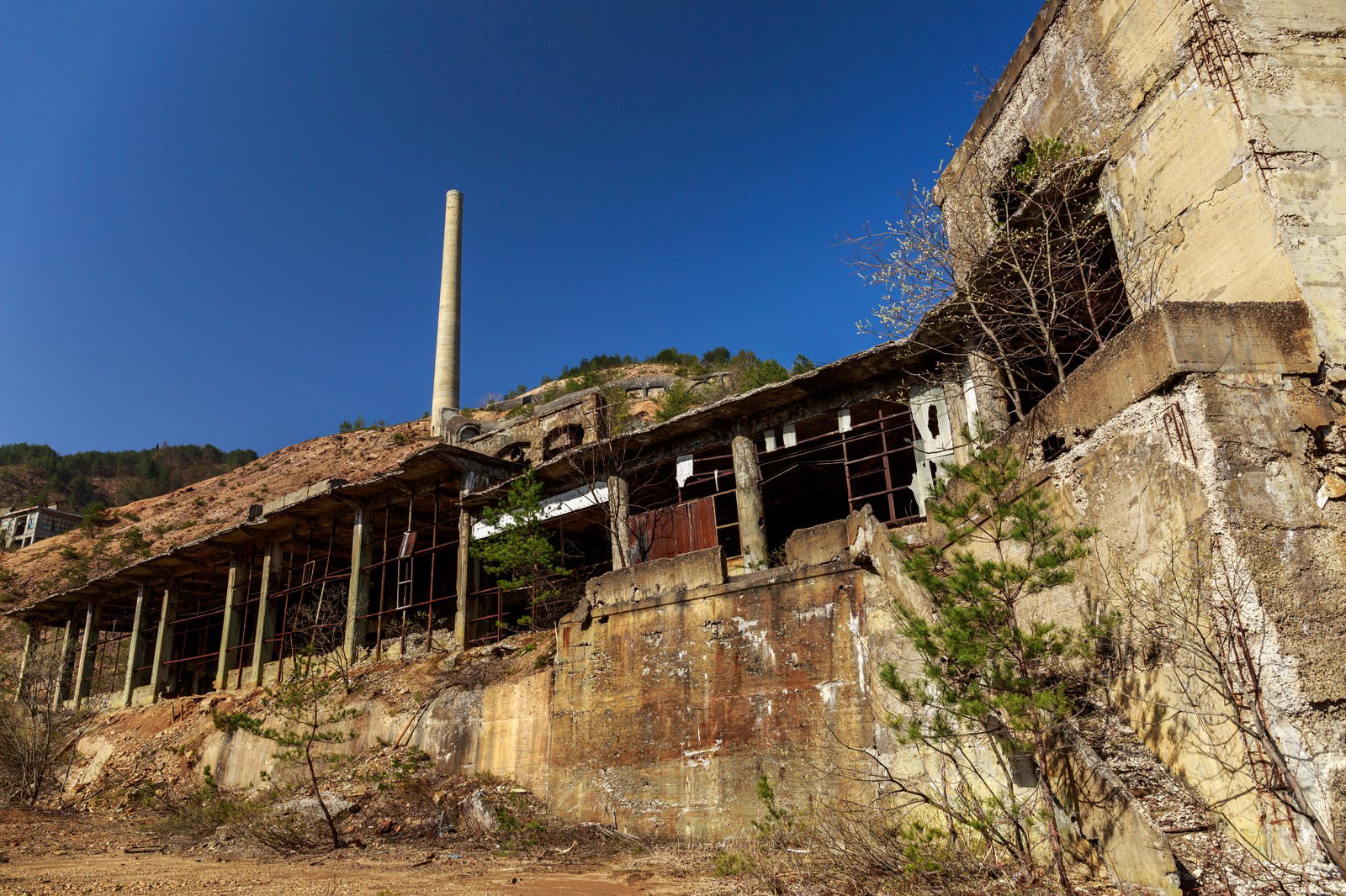 山の斜面に建つ廃墟となった鉱山施設。コンクリート建物に煙突が立ち、蔦や枯れた植物が覆う
