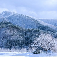 山間に積もった雪と樹氷に覆われた冬景色の写真