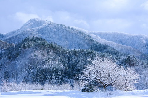 山間に積もった雪と樹氷に覆われた冬景色