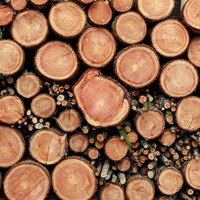 積み重なった薪の断面とテクスチャー、年輪と木肌の質感の写真