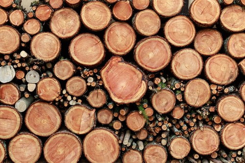 積み重なった薪の断面とテクスチャー、年輪と木肌の質感