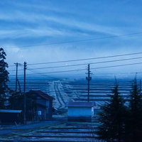 田舎の朝靄に包まれた民家と電柱が立ち並ぶ田園風景の写真