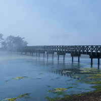 海霧に包まれる漁村の渡り橋と干潟の苔のある朝の風景の写真