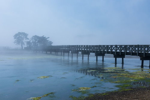 海霧に包まれる漁村の渡り橋と干潟の苔のある朝の風景