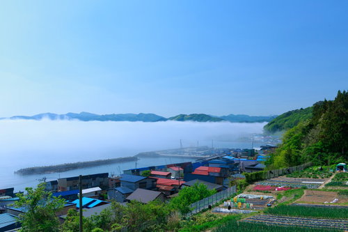 海霧に包まれた漁村の港湾風景、高台からの眺め