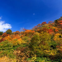 栗駒山の紅葉と黄葉が彩る青空の秋の山並みの写真