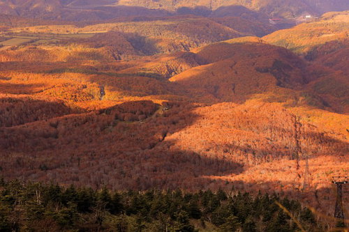 黄葉に映る雲の影の連なる山々を朝日が照らす秋の風景