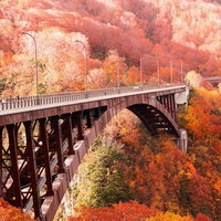 城ヶ倉大橋を彩る秋の紅葉と黄葉が映える渓谷の景色の写真