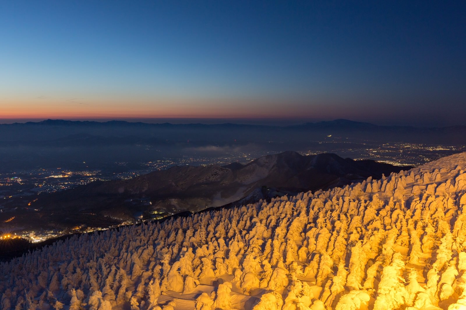 樹氷が朝日に照らされ、遠くの街の夜景が見える山頂の風景
