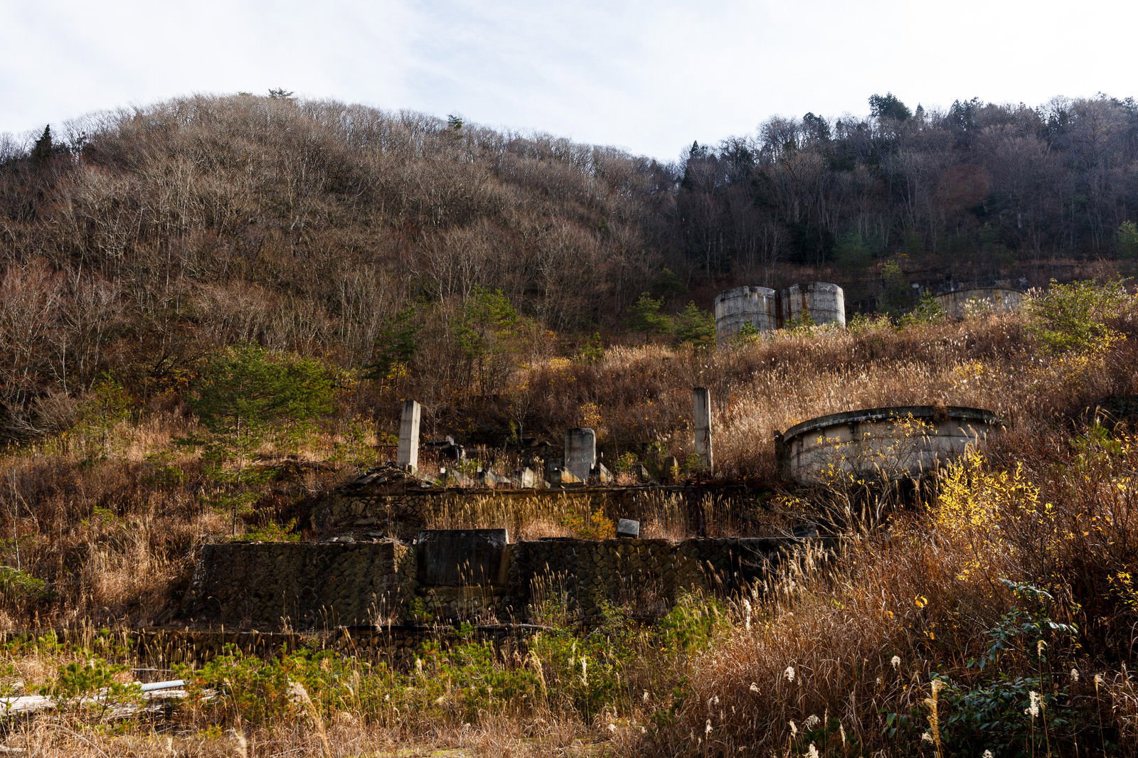 秋の雑草に覆われた鉱山跡に立つ石造りの廃墟と遠景の山林