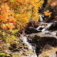 秋の紅葉が彩る山小川の風景の写真
