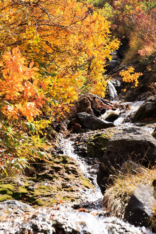 秋の紅葉が彩る山小川の風景