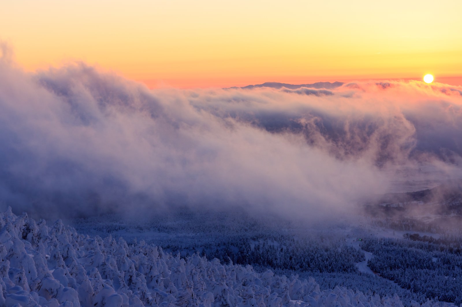 雪に覆われた樹木が並ぶ山頂から見た、朝日に照らされたオレンジ色の空と雲海