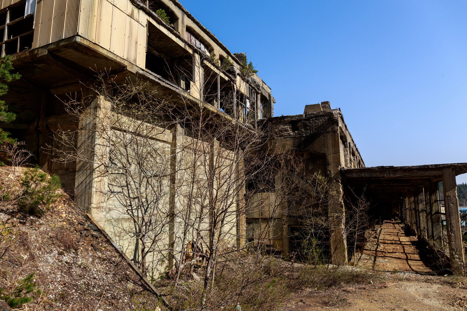 朽ちたコンクリート壁と波板屋根の廃棄されたコンクリート建物