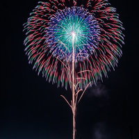 大曲の花火（春の章）の打上げ花火が夜空に広がる光跡の写真