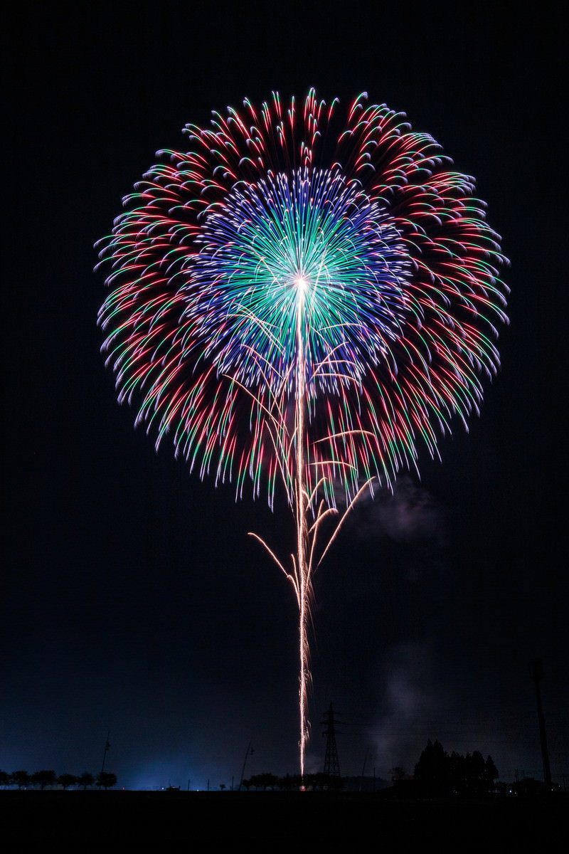 夜空に大きく広がる色とりどりの打上げ花火