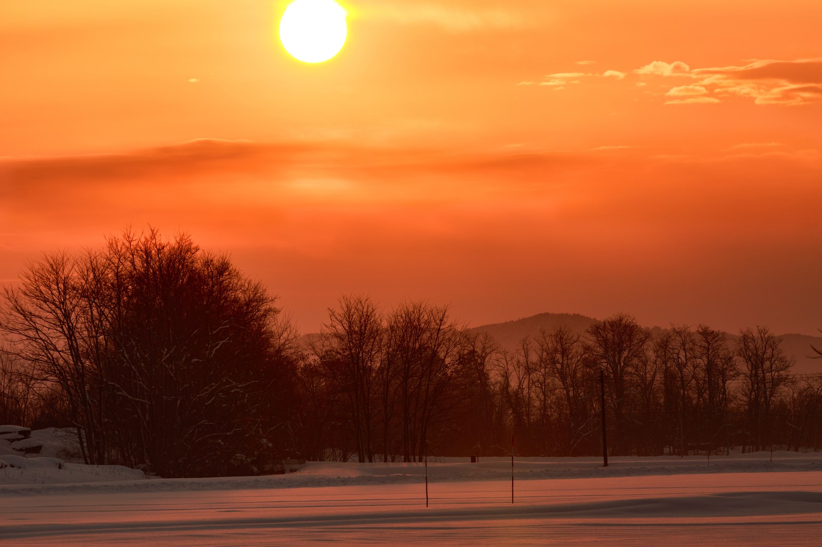 雪原に沈む夕陽とシルエットになった木々の冬景色