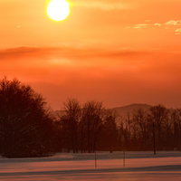 雪原に沈む赤い夕陽とシルエットの樹木の写真