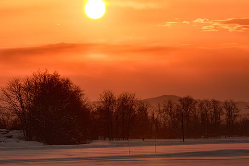 雪原に沈む赤い夕陽とシルエットの樹木
