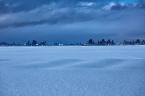 凍結した湖面を覆う田舎の積雪と冬の静寂、北国の寒冷地の風景