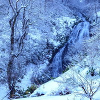 小坂町の七滝の冬景色の写真