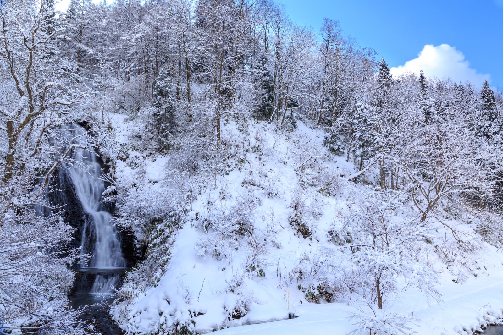 樹氷に覆われた秋田県小坂町の七滝、雪景色の中の滝