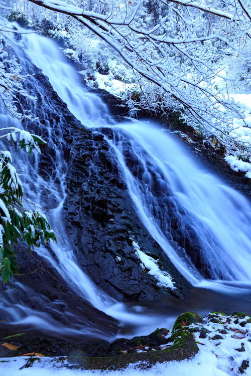 雪と氷に覆われた冬の滝の風景