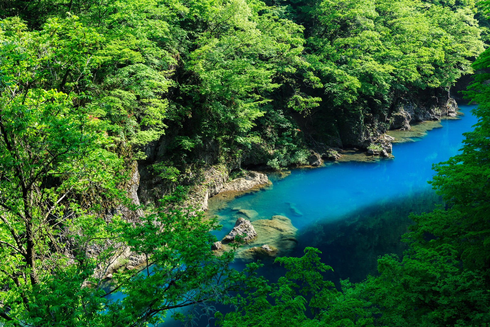 森の中の岩場を流れるエメラルドブルーの渓谷