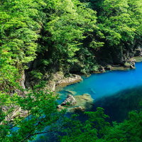 新緑の森に囲まれたエメラルドブルーの渓谷の写真