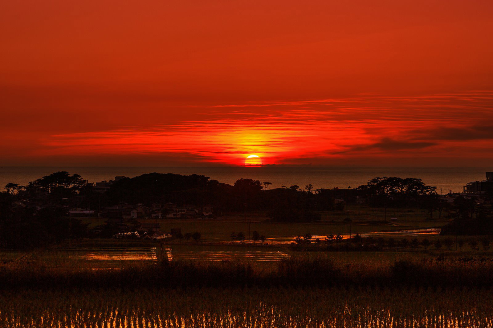 水平線に沈む真っ赤な日の入り、田園風景を照らす夕焼け空の写真素材
