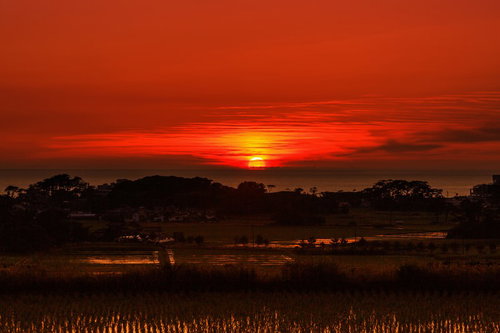 水平線に沈む真っ赤な日の入り、田園風景を照らす夕焼け空