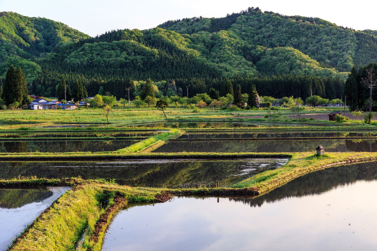 水を張った田んぼが整然と区画され、水面に空や山が映り込む田園風景