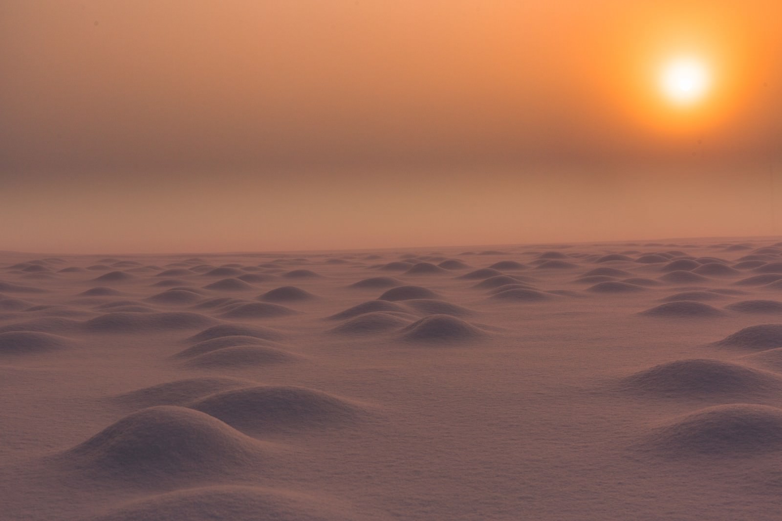 雪原に昇る太陽ともやが立ち込める冬の朝の風景