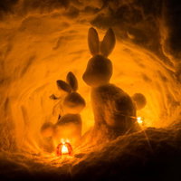 西和賀の雪洞でライトアップされたうさぎのシルエットの写真