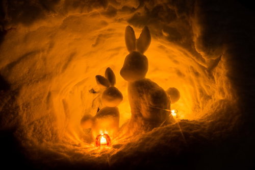 西和賀の雪洞でライトアップされたうさぎのシルエット