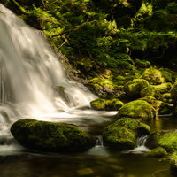 苔むした岩場を流れる渓流と元滝の清流風景の写真
