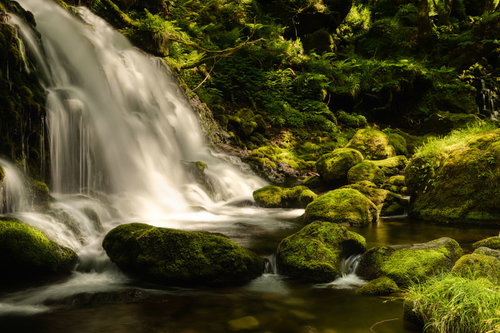 苔むした岩場を流れる渓流と元滝の清流風景