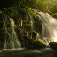 流れ落ちる元滝伏流水、秋田県の苔むした岩肌を潤す滝の写真